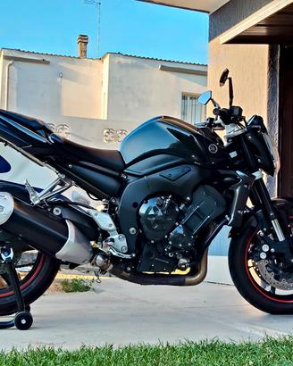 fz 1000 