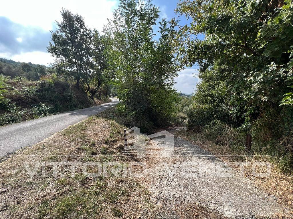 Terreno di 15903 m² a Laureana Cilento - Vista 5