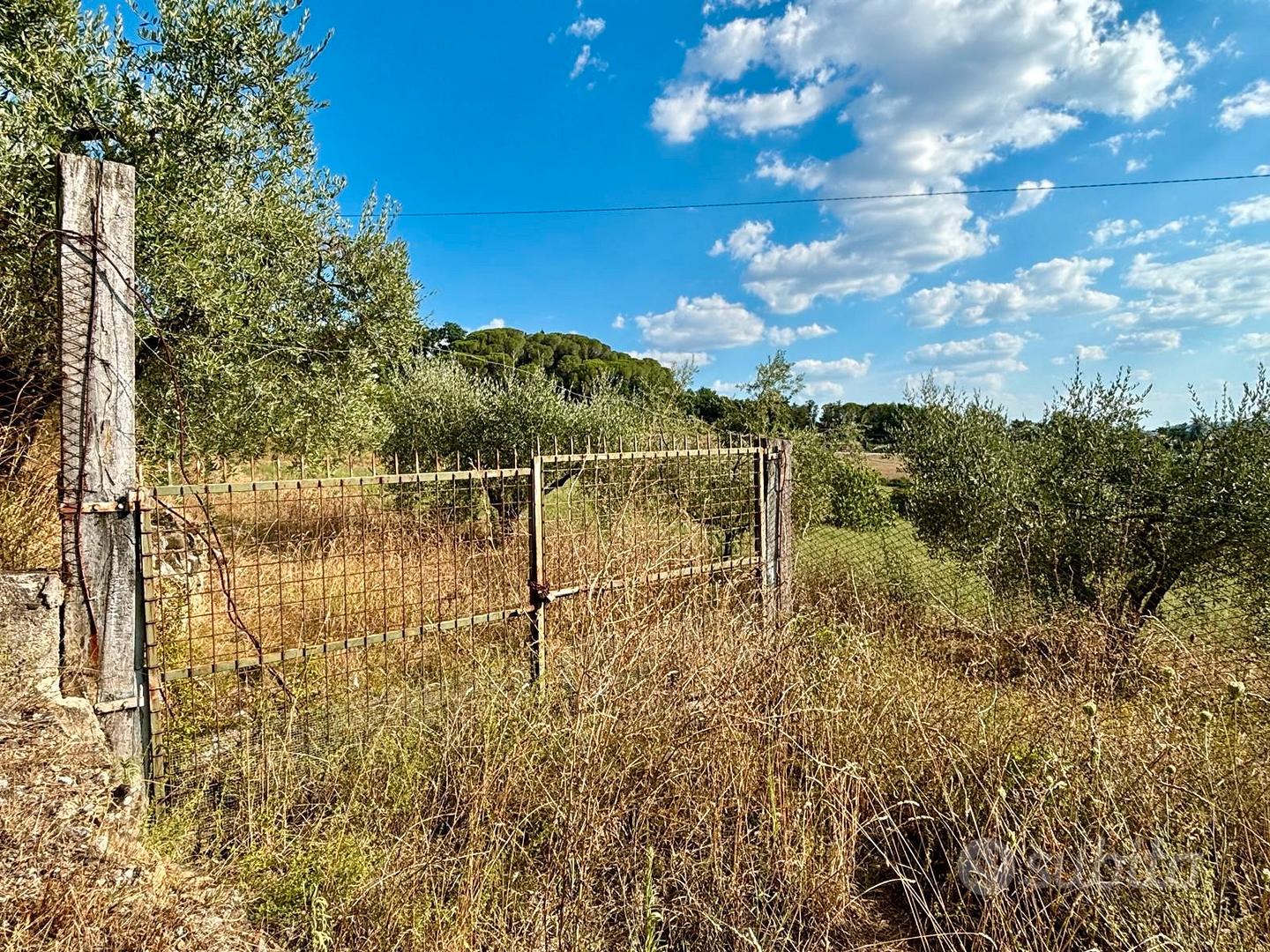 Terreno agricolo di 20.000 mq - Vista 5