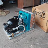 Compressore frigo rivacold