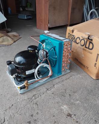Compressore frigo rivacold