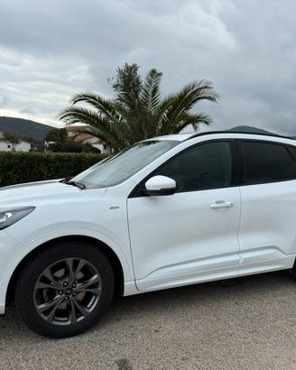Ford kuga 1.5 Ecoblue 120 CV Automatic ST-Line x