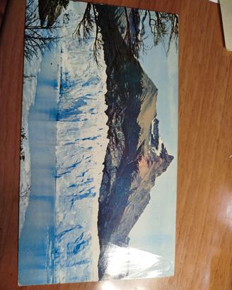 cartolina