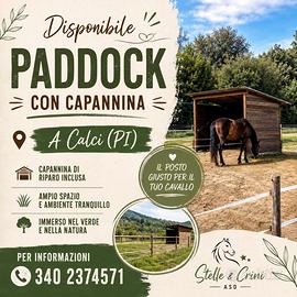 paddock con capannina