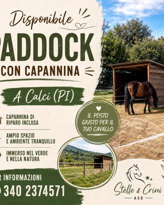 paddock con capannina