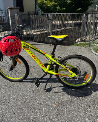 mtb taglia 20