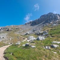 Val di Fiemme - DISPONIBILITÀ ESTATE