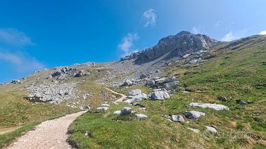 Val di Fiemme - DISPONIBILITÀ ESTATE