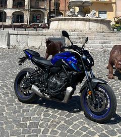 Yamaha mt-07 2021 icon blue