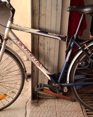 Bicicletta