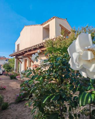 Bifamiliare con giardino su tre lati
