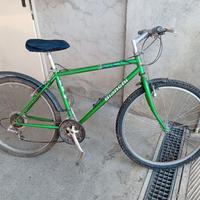  MTB Bianchi pronta