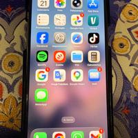 iPhone 12 Pro Max 256 giga