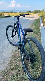 trek marlin 5 gen 3 2025