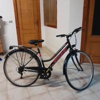 bicicletta da donna