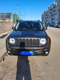 Geep renegade modelle traihawk 4x4