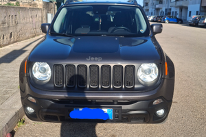 Geep renegade modelle traihawk 4x4