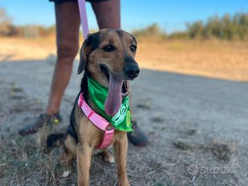 Casia una cagnolina meravigliosa