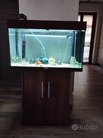 Acquario 