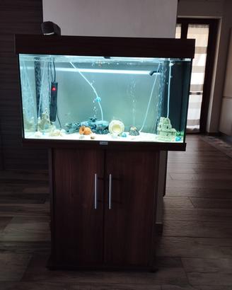 Acquario 