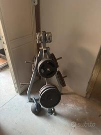 Palestra