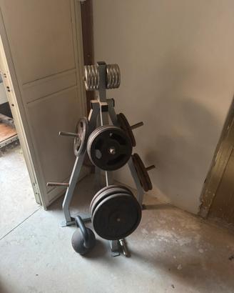 Palestra