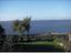 Immagine 7