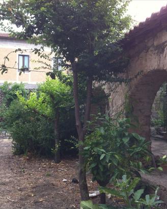 Palazzo storico a Isili Cagliari