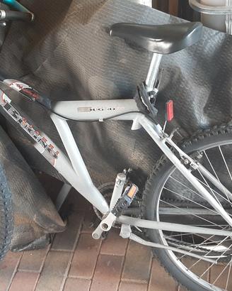 Bici mountain bike
