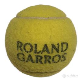 Pallina tennis finale roland garros 2026 Zverev