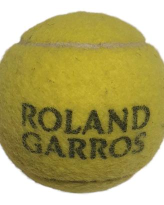 Pallina tennis finale roland garros 2026 Zverev