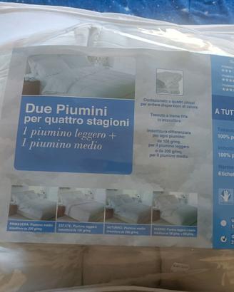 Piumini