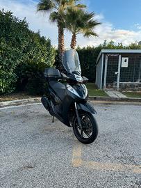 SH 300 black edition