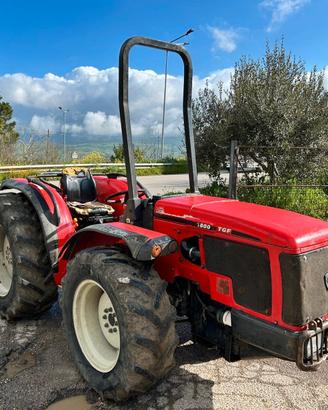 Trattore frutteto compatto Antonio Carraro TGF7800