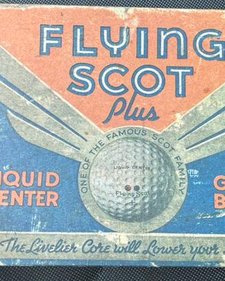 Palline da Golf Flying Scot Plus