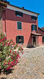 Cascina 900