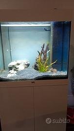 acquario completo