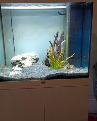 acquario completo