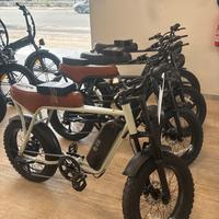 V30 fat bike