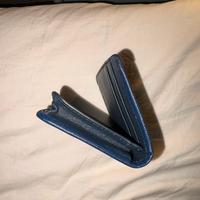 Portafoglio Cerruti 1881