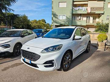 Ford Kuga 1.5 EcoBlue 120 CV aut. 2WD ST-Line