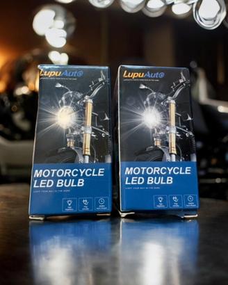 Lampade moto led ( x 2 ) nuove.