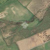 TER. AGRICOLO A CROPANI