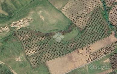 TER. AGRICOLO A CROPANI