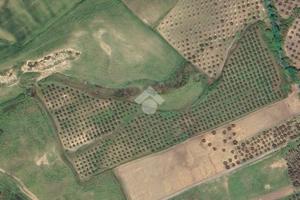 TER. AGRICOLO A CROPANI