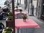 Immagine 2