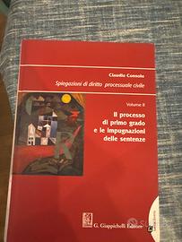 Spiegazioni di diritto processuale civile