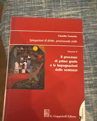 Spiegazioni di diritto processuale civile
