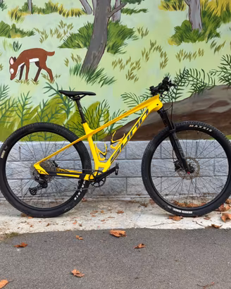 MTB FRONT CARBONIO TAGLIA M