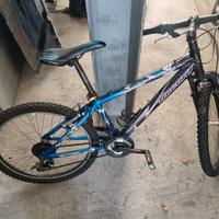bici ragazzo ruote da 24